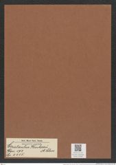 Cerataulus kinkerii A. Schm. (de-Toni-Nr.: Genus 173, Species 4455) Zeichnungen Sammlung Grunow Mappe 04380 (Herbarium_W_Grunow_drawings_Folder_04380)